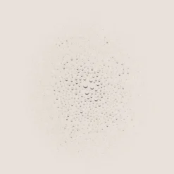 Omorovicza Queen Of Hungary Mist (100ml) -Professional Care Product Stores 10448809 1505045474437944