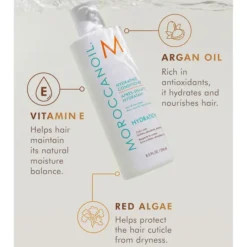 Moroccanoil Hydrating Conditioner 250ml -Professional Care Product Stores 10850039 1135066154063402