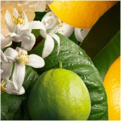 Molton Brown Orange & Bergamot Bath And Shower Gel -Professional Care Product Stores 10881881 1884601197146507