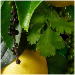 Molton Brown Re-charge Black Pepper Deodorant (150ml) -Professional Care Product Stores 11082988 9144619559180093