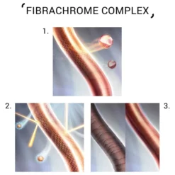 System Professional Colour Save Shampoo 250ml -Professional Care Product Stores 11314957 1194747620450711