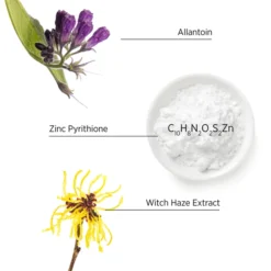 System Professional Purify Shampoo 250ml -Professional Care Product Stores 11314979 2764853361673851