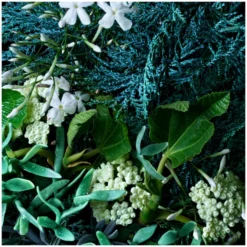 Molton Brown Coastal Cypress & Sea Fennel Deodorant Spray 150ml -Professional Care Product Stores 11461642 1524619587576575