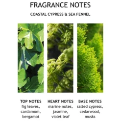 Molton Brown Coastal Cypress & Sea Fennel Deodorant Spray 150ml -Professional Care Product Stores 11461642 5724619587530654