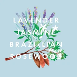 NEOM Scent To De-Stress Essential Oil Blend 10ml -Professional Care Product Stores 11862131 2124824848062524