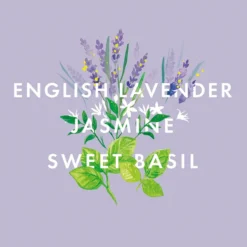 NEOM Scent To Sleep Essential Oil Blend 10ml 11 NEOM Scent To Sleep Essential Oil Blend 10ml -Professional Care Product Stores 11862132 9604824848382054