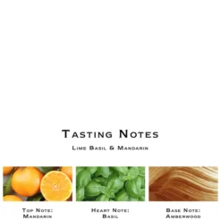 Jo Malone London Lime Basil And Mandarin Bath Oil (Various Sizes) 7 Jo Malone London Lime Basil And Mandarin Bath Oil (Various Sizes) -Professional Care Product Stores 12079033 1784697336805759