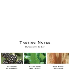 Jo Malone London Blackberry And Bay Body And Hand Wash 250ml 7 Jo Malone London Blackberry And Bay Body And Hand Wash 250ml -Professional Care Product Stores 12079103 1724697343213309