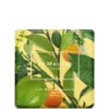 Jo Malone London Lime Basil And Mandarin Soap 100g -Professional Care Product Stores 12079152 5864927534198017