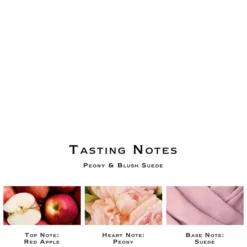 Jo Malone London Peony And Blush Suede Body And Hand Wash 250ml -Professional Care Product Stores 12079172 1054697623206171