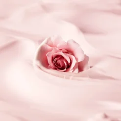 Laura Mercier Cleansing Oil 150ml -Professional Care Product Stores 12444530 5604764741033996