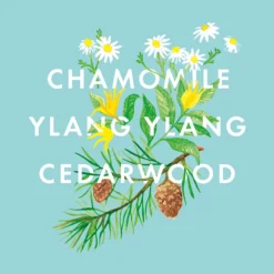 NEOM Bedtime Hero Essential Oil Blend -Professional Care Product Stores 12455616 7744824853554393