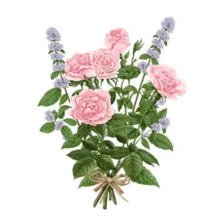 Carrière Frères Scented Candle - La Rose Aime La Menthe 185g 7 Carrière Frères Scented Candle - La Rose Aime La Menthe 185g -Professional Care Product Stores 12865479 1894837596873522