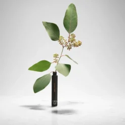 OTO Balance Essential Oil Roll-On - 20% CBD -Professional Care Product Stores 13232767 1034989733045311