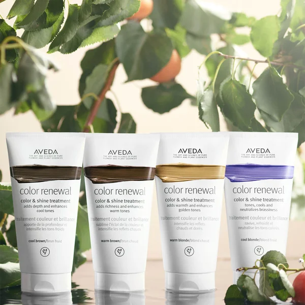 Aveda Colour Renewal Colour And Shine Treatment - Warm Blonde 150ml 5 Aveda Colour Renewal Colour And Shine Treatment - Warm Blonde 150ml - Image 3