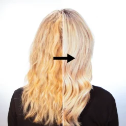 Redken Color Extend Blondage Shampoo 500ml -Professional Care Product Stores 13647393 1575044155444054