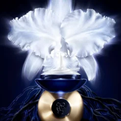 Guerlain Orchidée Impériale The Light Cream 50ml 8 Guerlain Orchidée Impériale The Light Cream 50ml -Professional Care Product Stores 13904060 9044971833983236